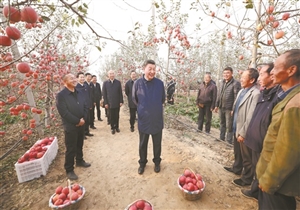 习近平在陕西延安和河南安阳考察时强调 全面推进乡村振兴 为实现农业农村现代化而不懈奋斗