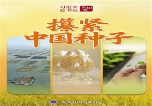习近平总书记关切事丨攥紧中国种子
