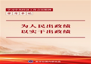 学习手记丨为人民出政绩，以实干出政绩