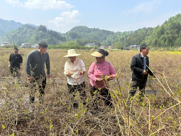 永顺县：深山里的振兴答卷