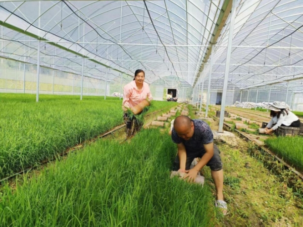 顺县：“穷山沟”趟出“致富路”