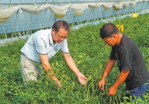 “我是党员，我在岗位” | 黄国东：“帮农民端稳‘金饭碗’，很有成就感！”