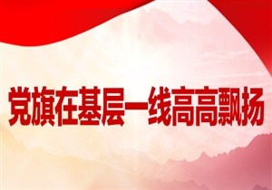 党旗在基层一线高高飘扬 | 火红的灯笼，红火的日子——记甘肃定西市渭源县田家河乡元古堆村党总支书记董建新