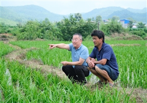 党旗在基层一线高高飘扬 | 十年驻守米飘香——驻村第一书记莫日发的乡村印记